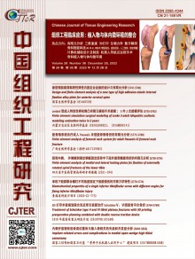 现代康复期刊